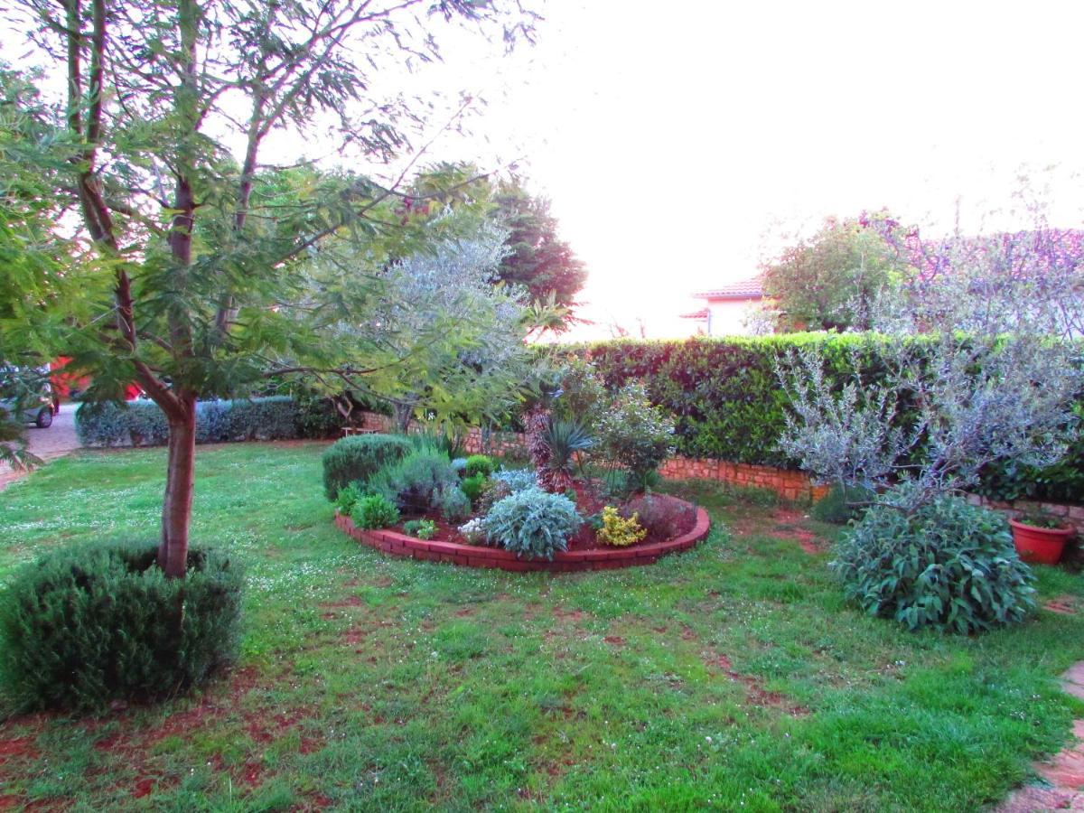 Apartman Perci Vrh Tar-Vabriga Exterior photo